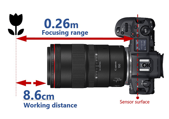 Lenses - RF100mm f/2.8L MACRO IS USM - Canon Vietnam